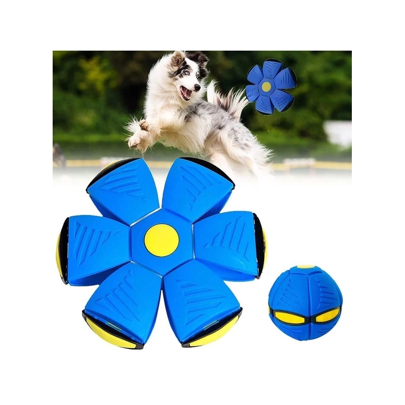 Interaktīva lodīšu plāksne mājdzīvniekiem Dogsm