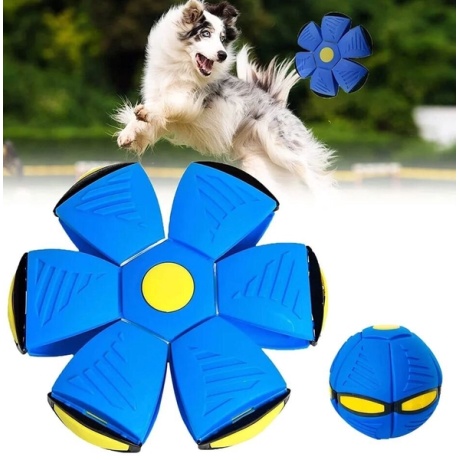 Interaktīva lodīšu plāksne mājdzīvniekiem Dogsm