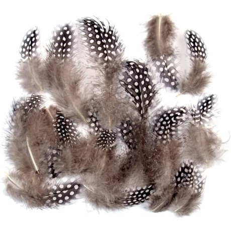 Spalvas rotu izgatavošanai Wanruida, 100 gab.