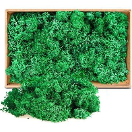 ZUZGO Decorative Moss