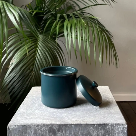 ASH it Pelnu trauks ar vāku, zaļš