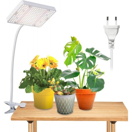 JINHONGTO LED-kasvilamppu B0BHHKYCGV