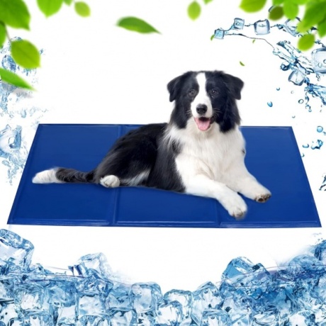 Itsejäähtyvä lemmikkimatto Pawzone, 90 x 50 cm, sininen