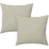 Pillowcase Gamusi 50 x 50 cm, 2 pcs, beige