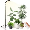 TONYFUL B0D LED-kasvilamppu