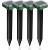 NUDORA H-4 Sonic Mole Repeller, 4 kpl